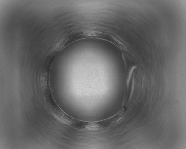 X0000054460603200508121939