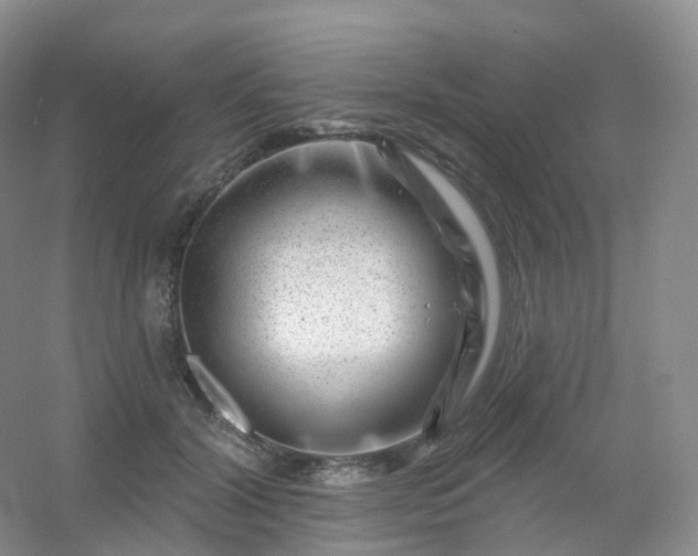 X0000054460604200508121939