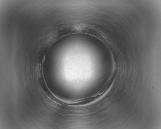 X0000054460605200508121939