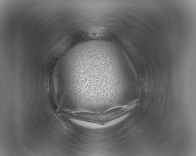 X0000054460606200508121939