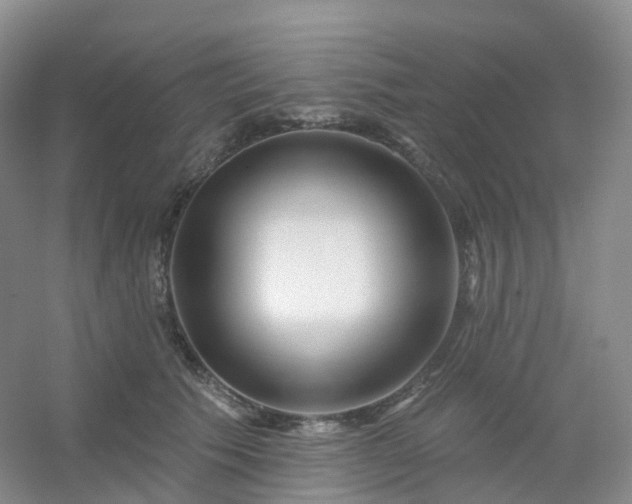 X0000054460609200508121939