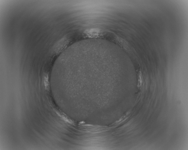 X0000054460610200508121939