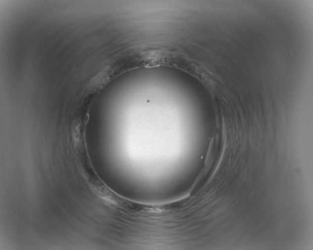 X0000054460611200508121939