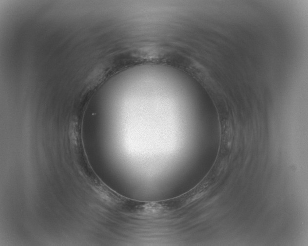 X0000054460612200508121939