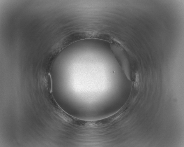 X0000054460613200508121939