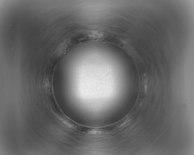 X0000054460614200508121939