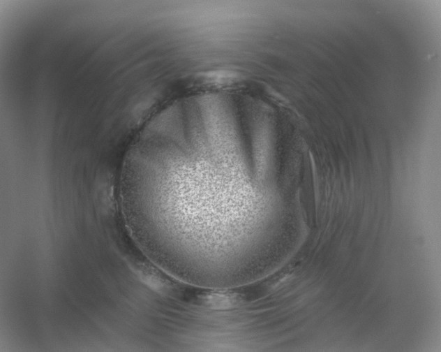 X0000054460615200508121939