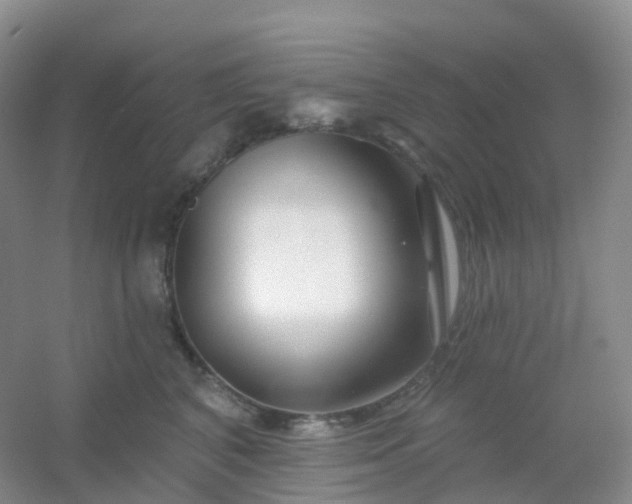 X0000054460616200508121939