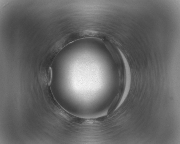 X0000054460617200508121939