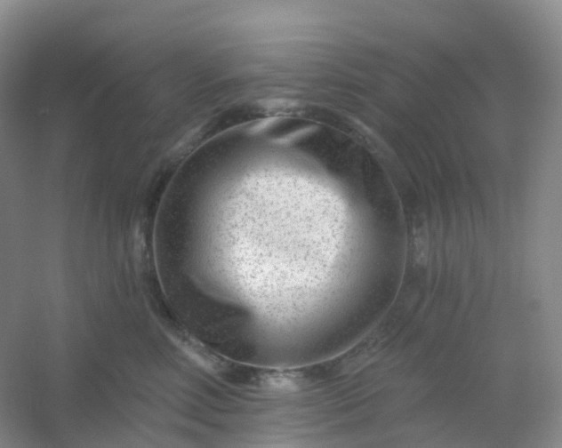 X0000054460618200508121939