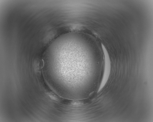 X0000054460619200508121939