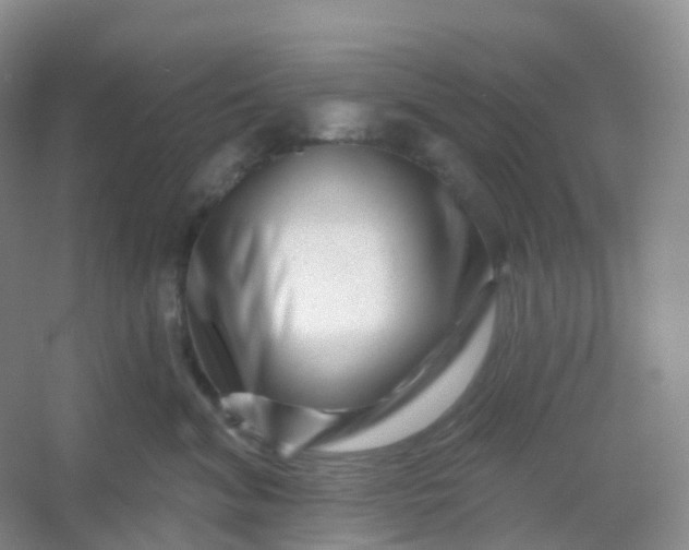 X0000054460620200508121939