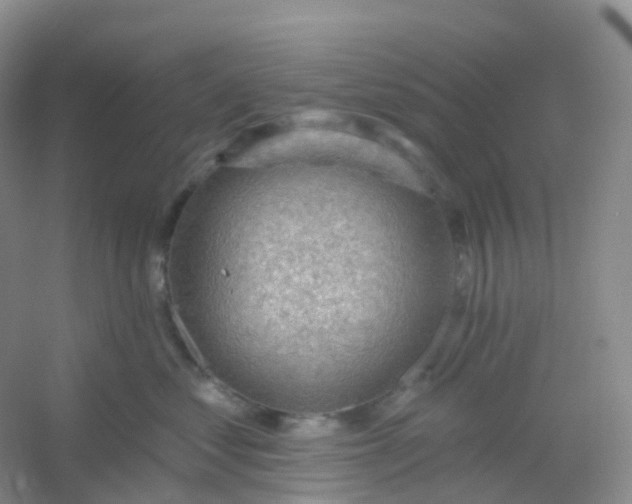 X0000054460621200508121939