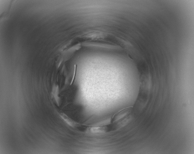 X0000054460622200508121939