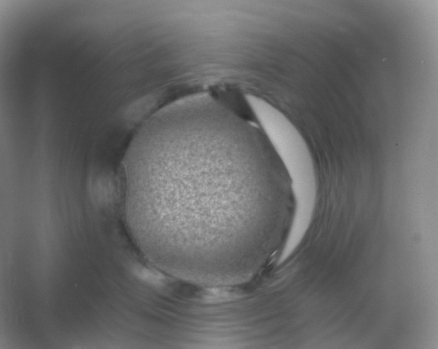 X0000054460623200508121939