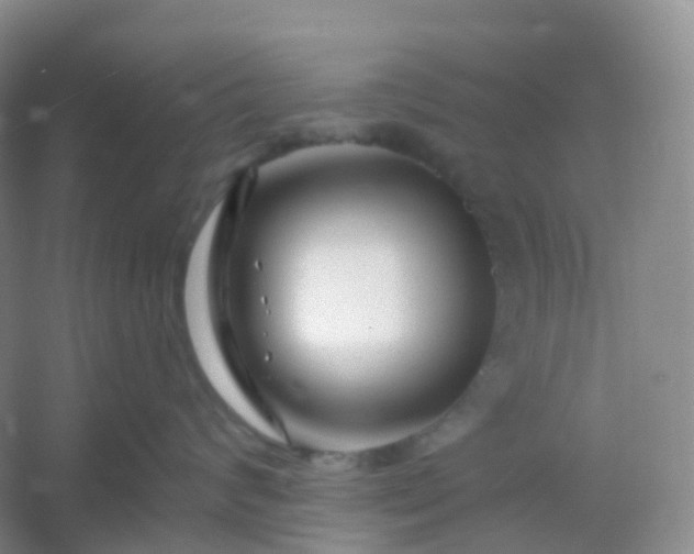 X0000054460624200508121939