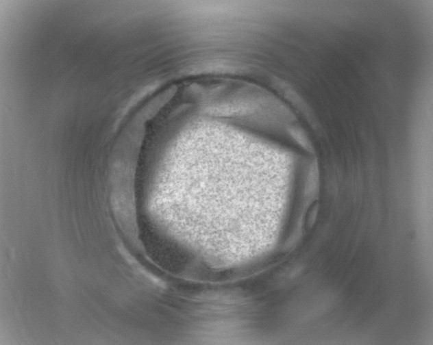 X0000054460625200508121938