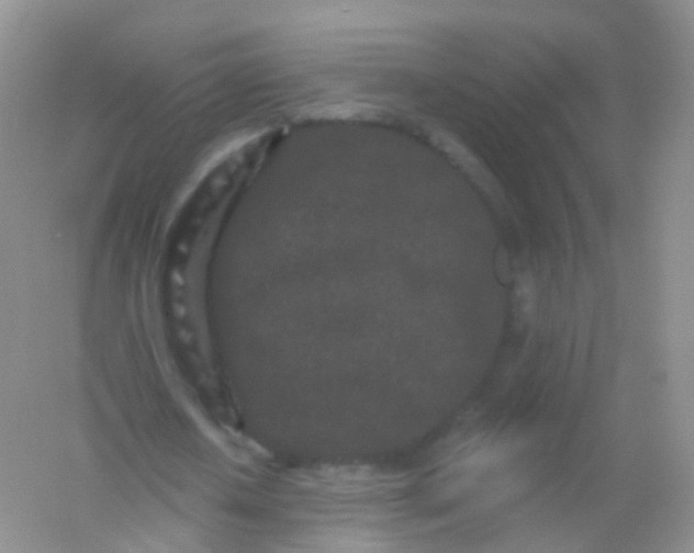 X0000054460626200508121938