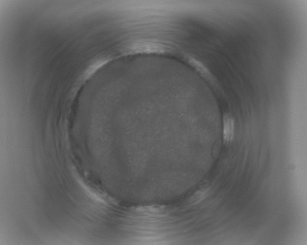 X0000054460627200508121938