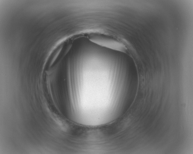 X0000054460628200508121938