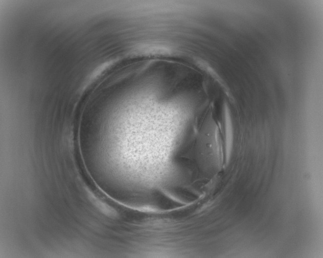 X0000054460629200508121938