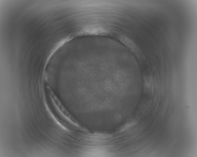 X0000054460630200508121938