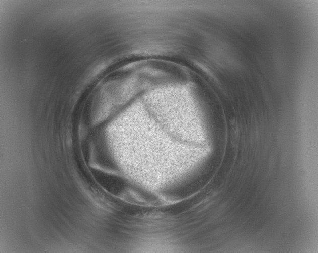 X0000054460631200508121938