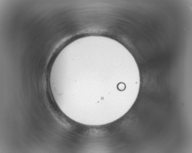 X0000054460632200508121938