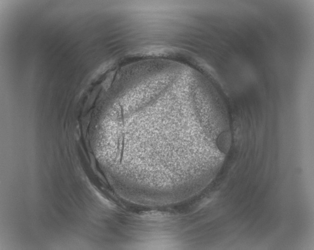 X0000054460633200508121938