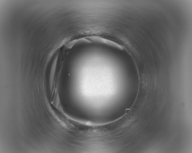 X0000054460634200508121938