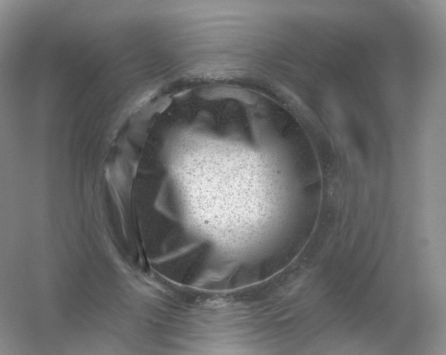 X0000054460635200508121938