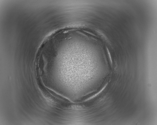 X0000054460636200508121938