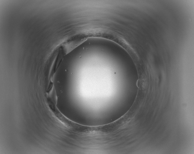 X0000054460637200508121938