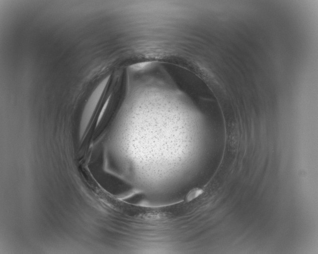 X0000054460639200508121938