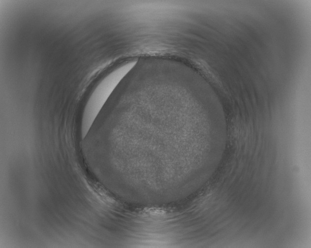 X0000054460640200508121938