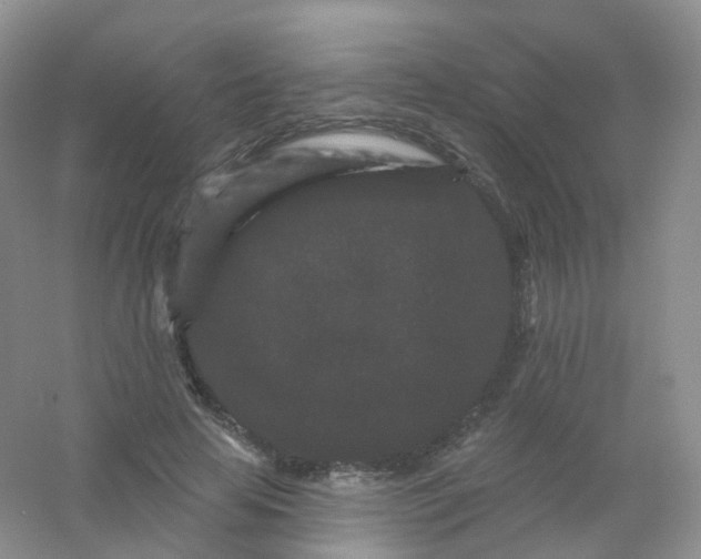 X0000054460641200508121938