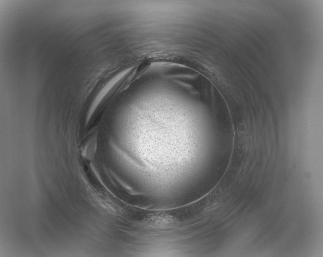 X0000054460642200508121938