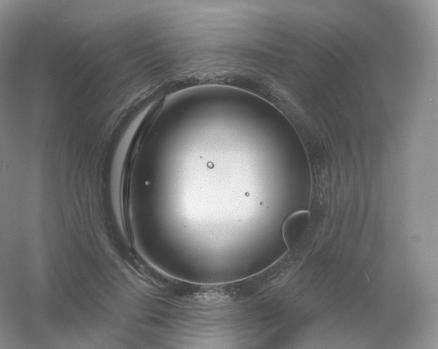 X0000054460644200508121938