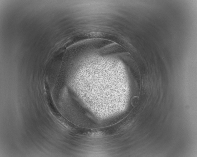 X0000054460645200508121938