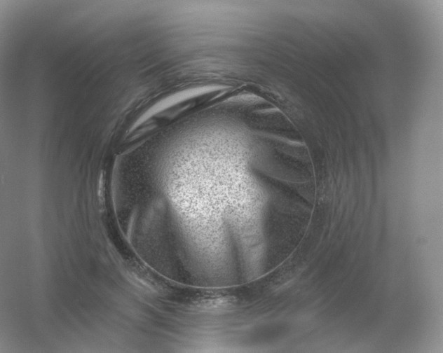 X0000054460646200508121938