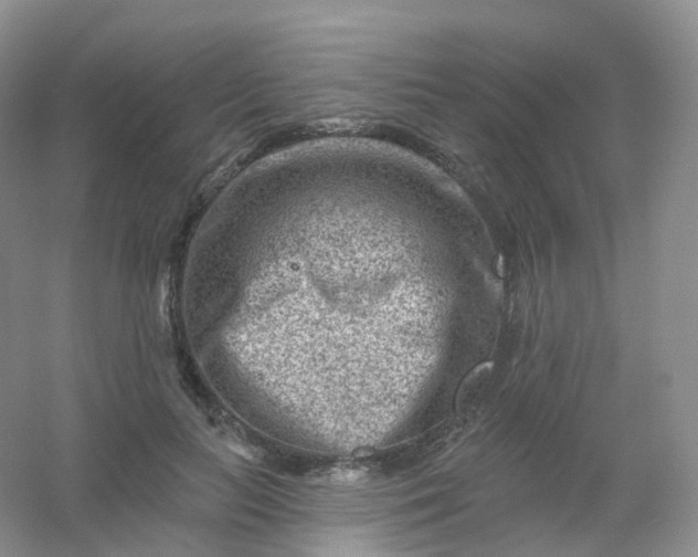 X0000054460647200508121938