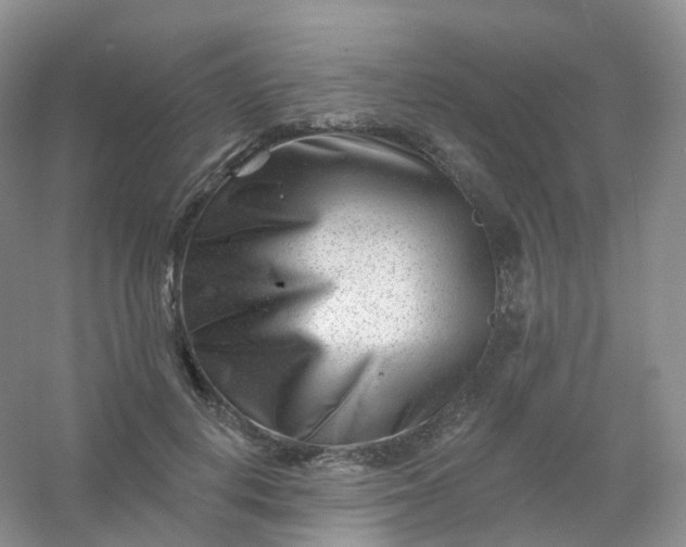 X0000054460648200508121938