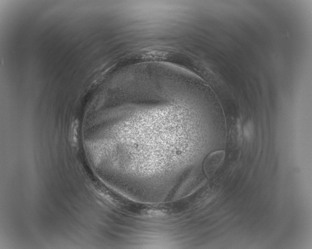 X0000054460649200508121938