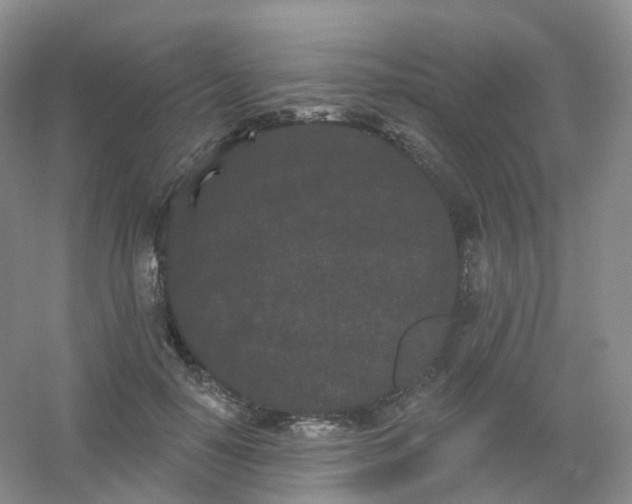 X0000054460650200508121938