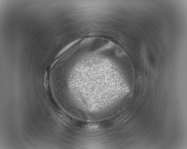 X0000054460651200508121938