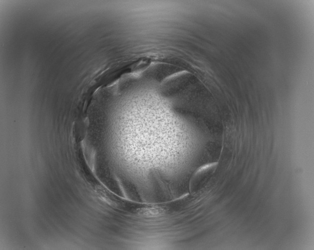 X0000054460652200508121938