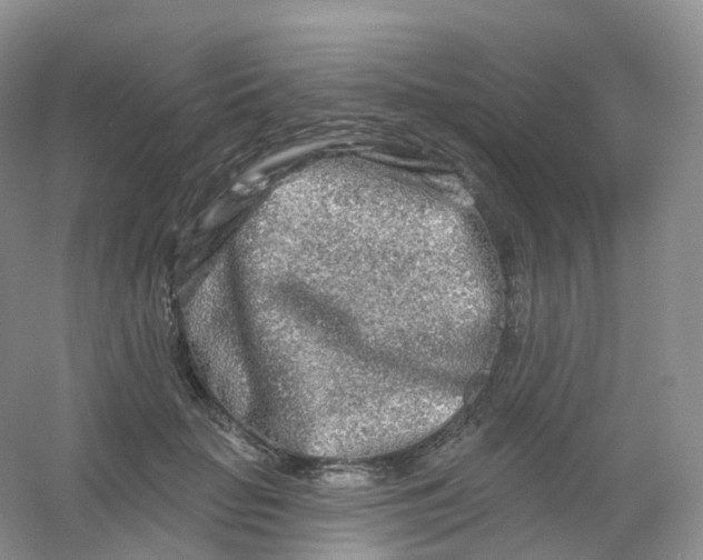 X0000054460653200508121938