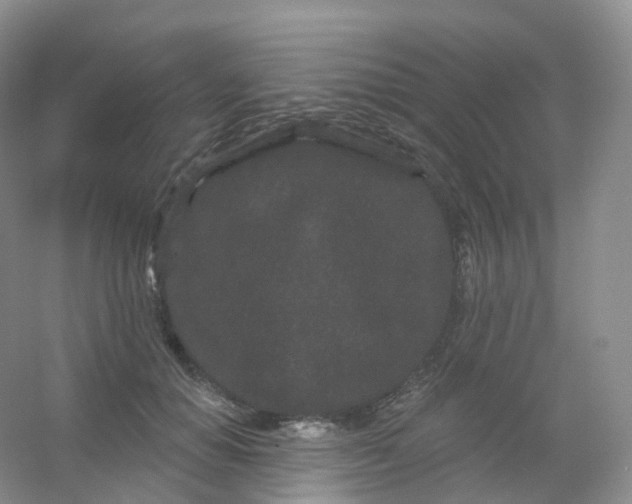 X0000054460654200508121938