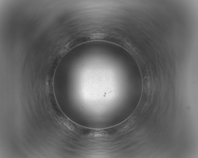 X0000054460655200508121938