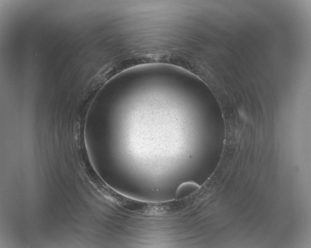 X0000054460656200508121938